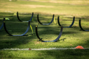 goathletego hurdles