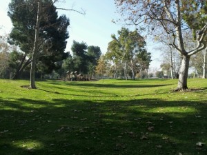 Acacia Park